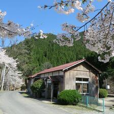 2026  因美線  美作河井駅のさくら