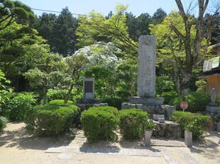 2026-5-11syorinji_nanjyamonjya16.jpg
