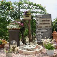 2026 「甲本バラ園」のバラの花たち（津山市領家）