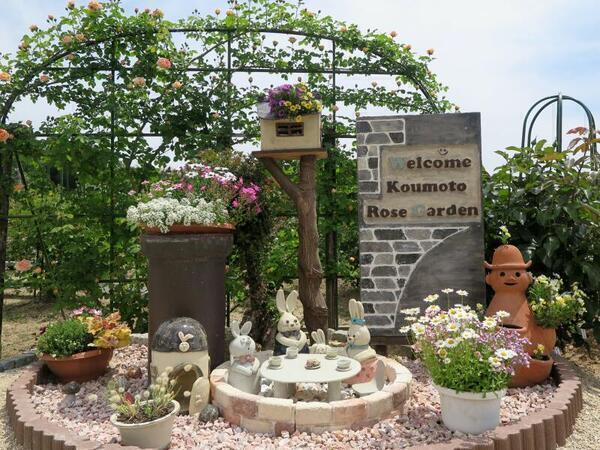2026 「甲本バラ園」のバラの花たち（津山市領家）