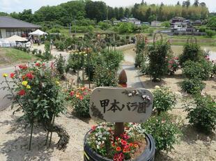 2026-5-13koumotobaraen7.jpg