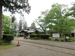 2026-5-8sakuraayame11.jpg