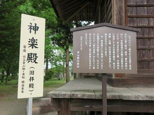 2026-5-8sakuraayame12.jpg