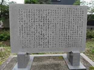 2026-5-8sakuraayame23.jpg