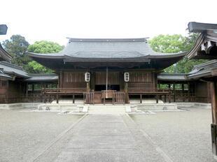 2026-5-8sakuraayame3.jpg