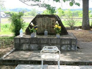 2026-5-8sakuraayame35.jpg