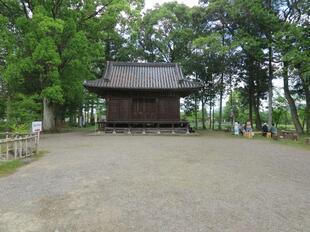 2026-5-8sakuraayame4.jpg