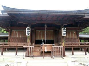 2026-5-8sakuraayame5.jpg
