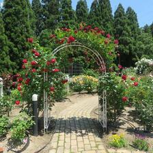 2026 芙蓉寺バラ園の特別解放がありました。