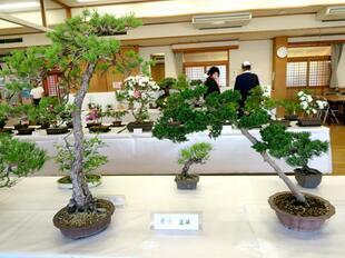 2026-5-30takano_sanyasou10.jpg