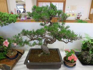2026-5-30takano_sanyasou13.jpg