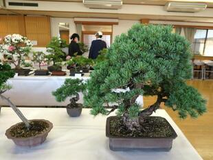 2026-5-30takano_sanyasou20.jpg