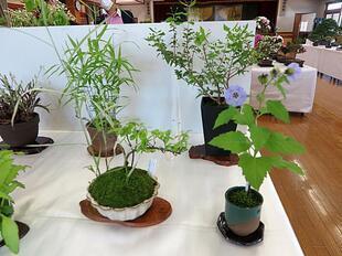 2026-5-30takano_sanyasou36.jpg