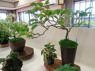 2026-5-30takano_sanyasou40.jpg