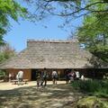 中世夢が原（中世の歴史公園）
