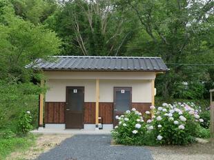 2026-6-27ajisai1.jpg