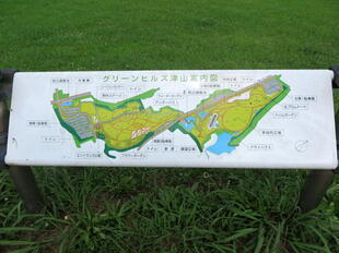2026-7-10green_hasu35.jpg