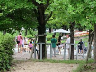 2026-7-11hiruzu_funsui1.jpg