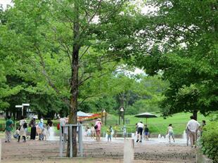 2026-7-11hiruzu_funsui3.jpg