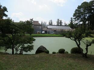 2026-6-29syurakuen15.jpg