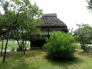 2026-6-29syurakuen21.jpg