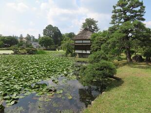 2026-6-29syurakuen23.jpg