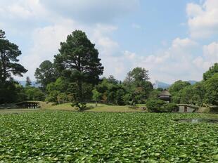 2026-6-29syurakuen27.jpg