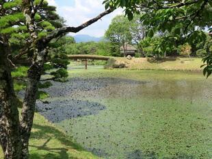 2026-6-29syurakuen3.jpg