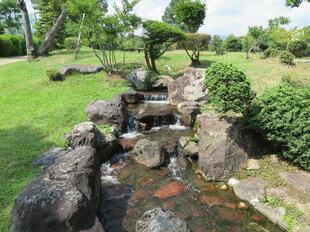 2026-6-29syurakuen31.jpg