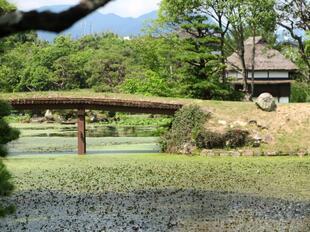 2026-6-29syurakuen4.jpg