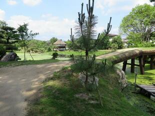 2026-6-29syurakuen6.jpg