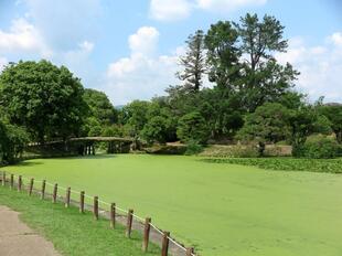 2026-6-29syurakuen8.jpg