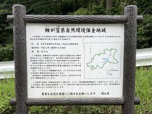 2026-7-29nimi11.jpg