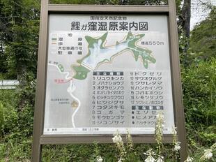 2026-7-29nimi27.jpg