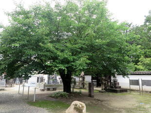 2026-7-7hhinfenji20.jpg