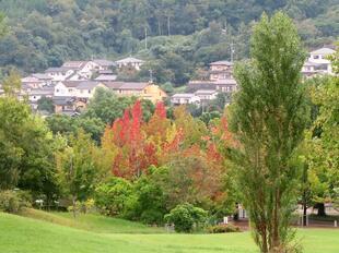 2026-9-27green_hana13.jpg