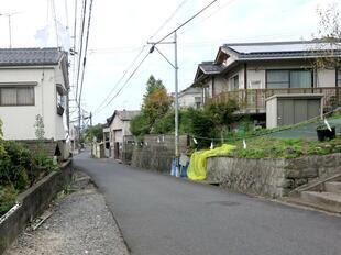 2026-10-18shirakami01.jpg