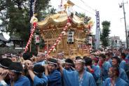 徳守神社 大神輿