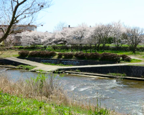 ほたる公園