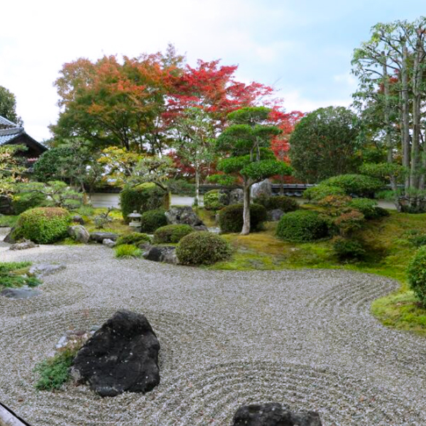 花の山寺 普門寺の紅葉