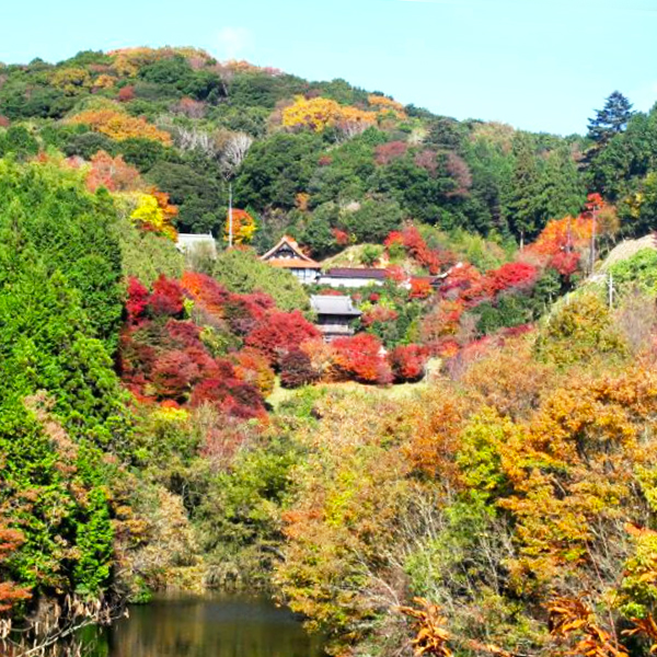 夢中山幻住寺の紅葉