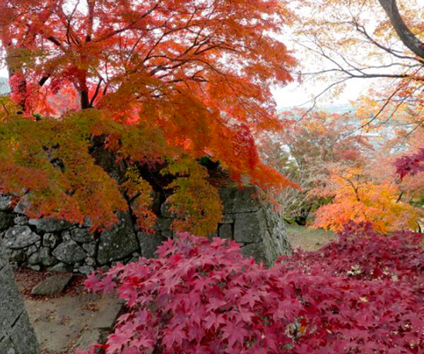 津山城（鶴山公園）