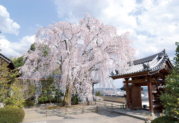 高野神社