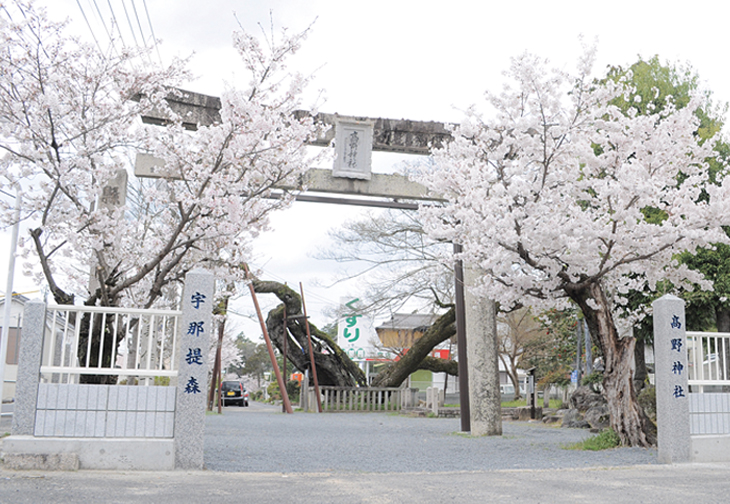 高野神社