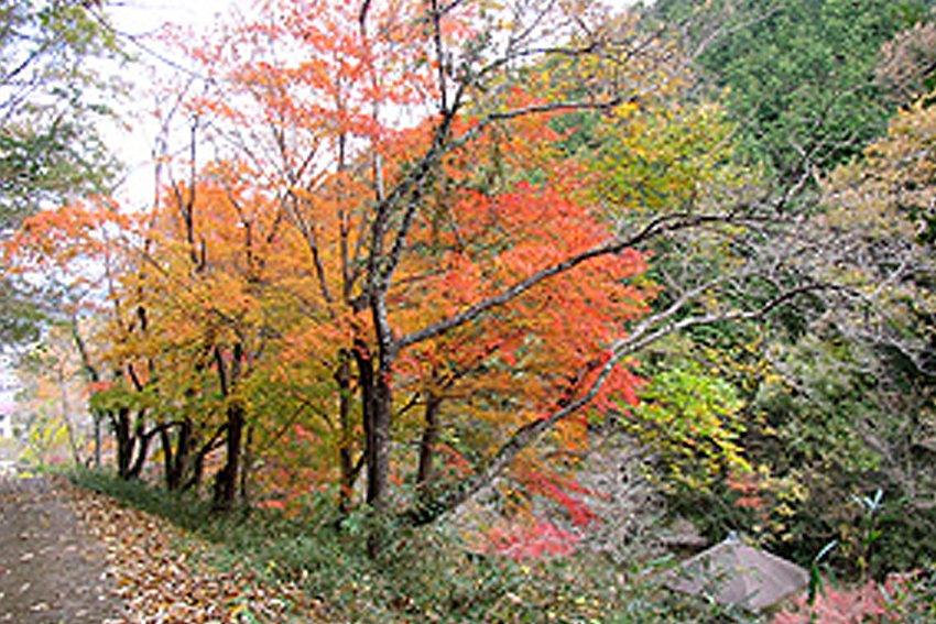 石山寺までの渓谷