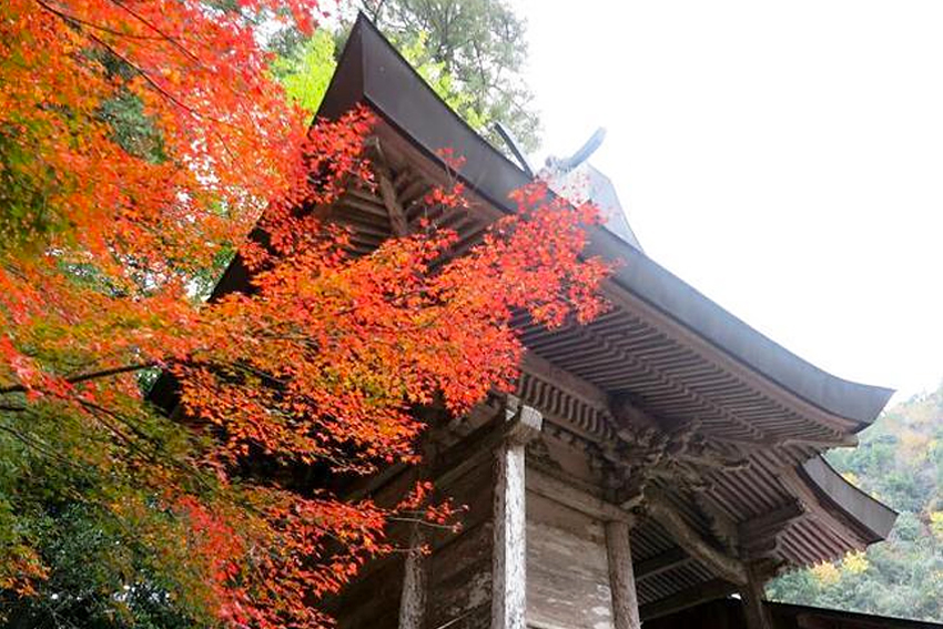 天石門別神社の紅葉
