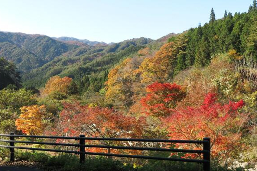 倉見の大自然と紅葉