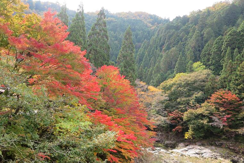 鏡野町の奥津渓