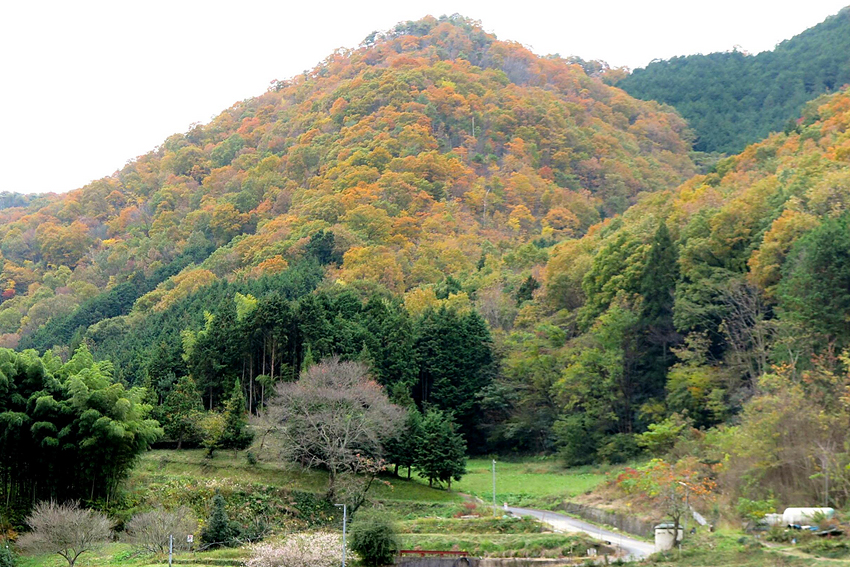 佐良山の山