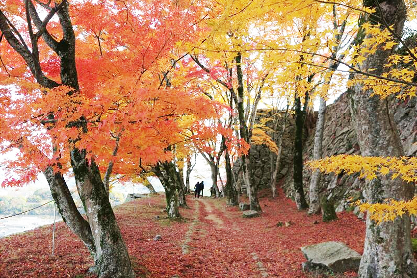 津山城（鶴山公園）